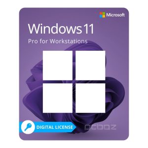 windows 11 Pro for Workstations