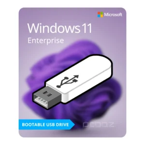 فلش بوتیبل ویندوز 11 اینترپرایز