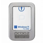 پک فیزیکی ویندوز ۱۱ پرو MSDN