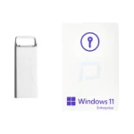 پک فیزیکی ویندوز 11 اینترپرایز Standard