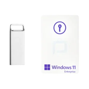 پک فیزیکی ویندوز 11 اینترپرایز Standard